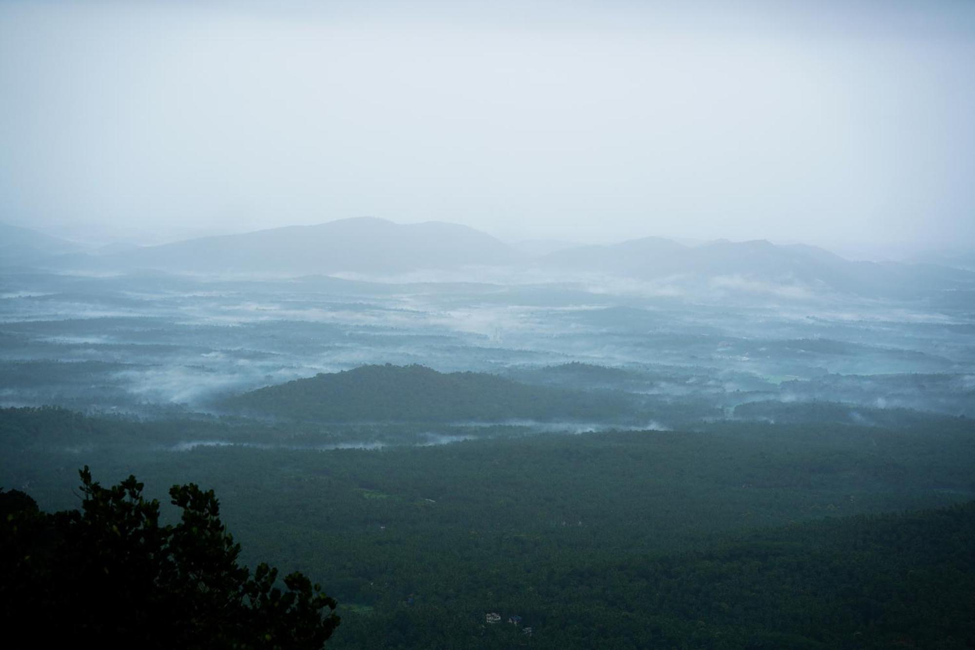 Mount Stratus Resort Vayalada Balussery Eksteriør billede