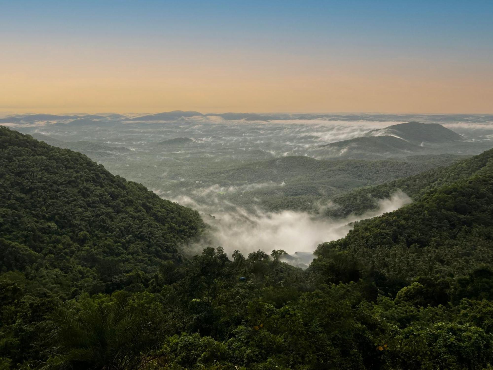 Mount Stratus Resort Vayalada Balussery Eksteriør billede